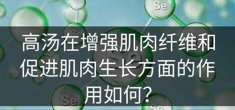 高汤在增强肌肉纤维和促进肌肉生长方面的作用如何？